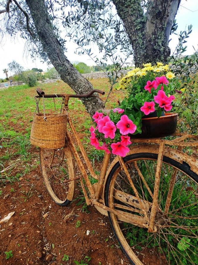 אנדרנו Palacca, Trullo Salentino מראה חיצוני תמונה