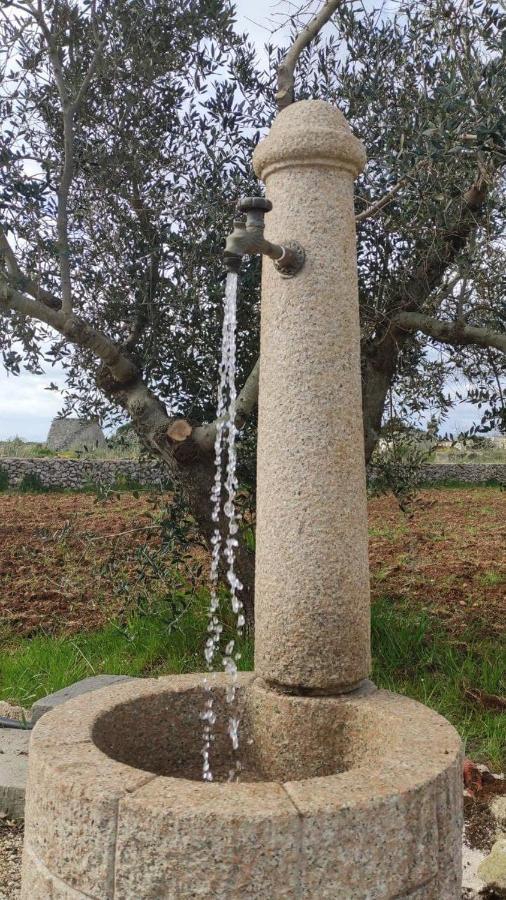 אנדרנו Palacca, Trullo Salentino מראה חיצוני תמונה