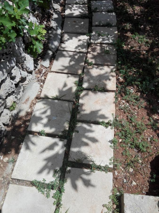 אנדרנו Palacca, Trullo Salentino מראה חיצוני תמונה