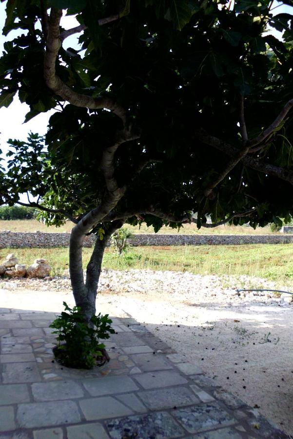 אנדרנו Palacca, Trullo Salentino מראה חיצוני תמונה