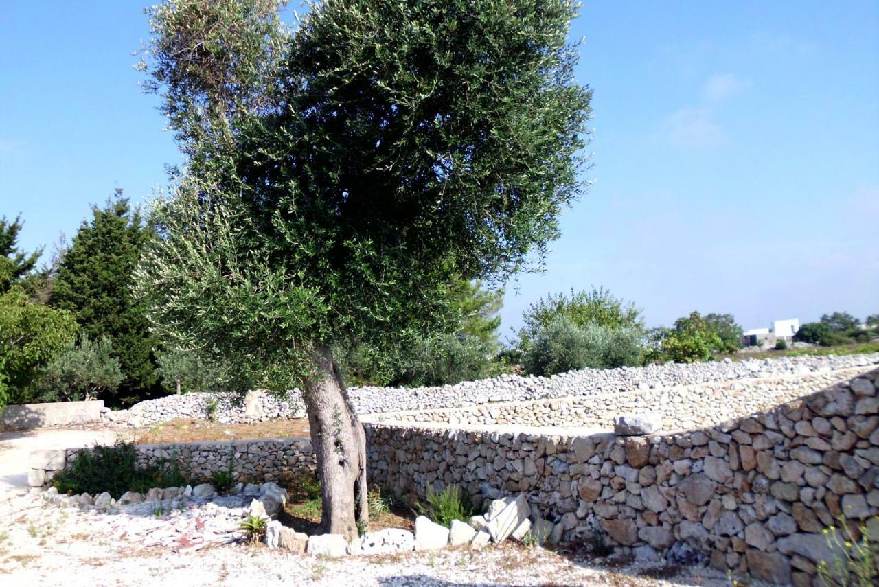 אנדרנו Palacca, Trullo Salentino מראה חיצוני תמונה