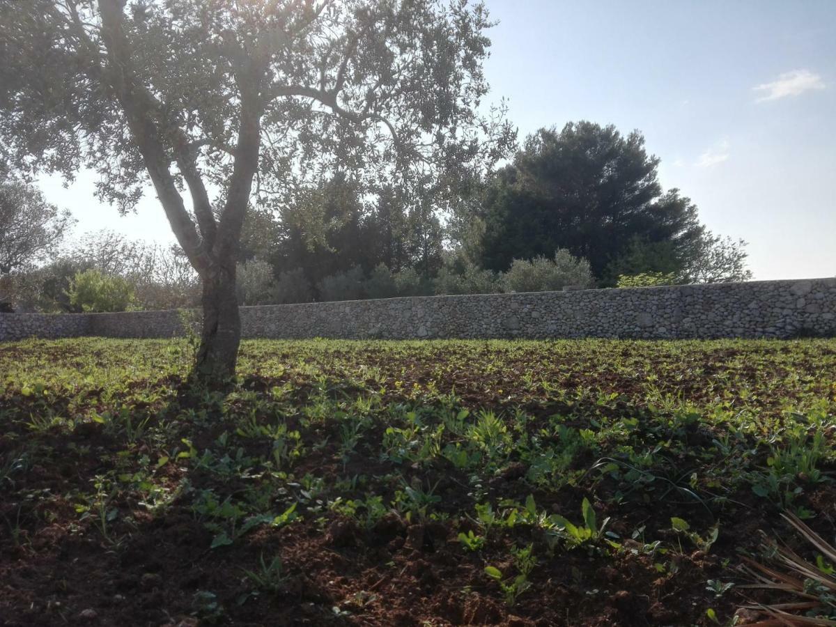 אנדרנו Palacca, Trullo Salentino מראה חיצוני תמונה